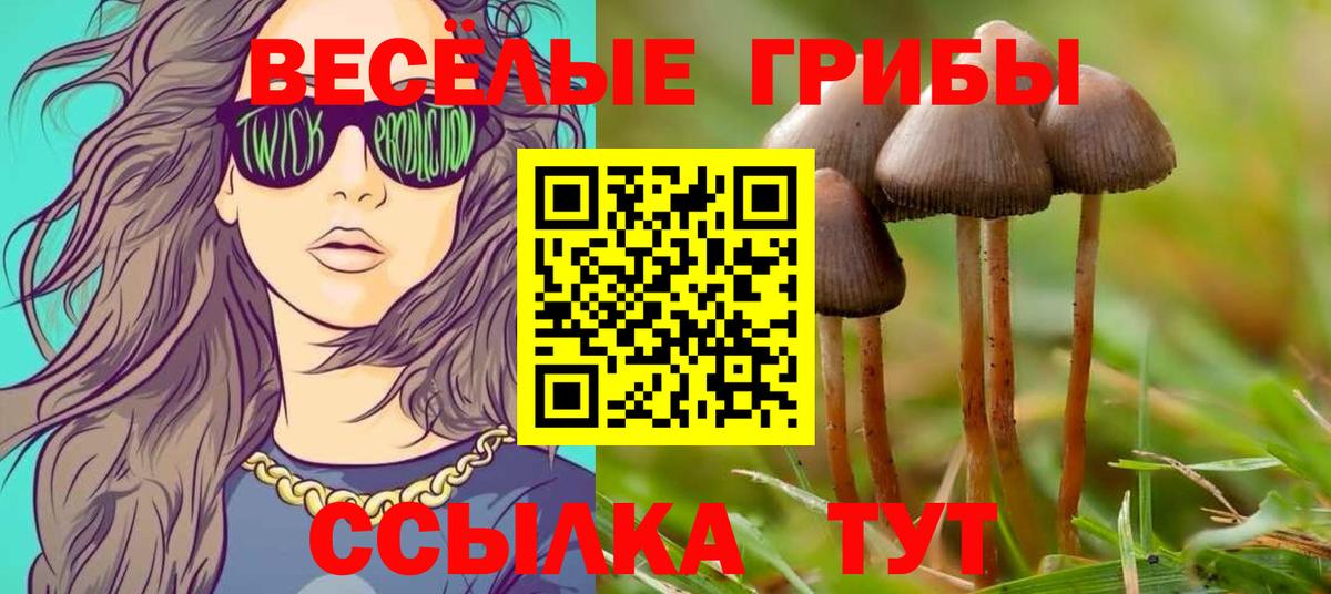 Галлюциногенные грибы Psilocybe  Псилоцибиновые грибы Psilocybine cubensis  купить  сайты  Вход с VPN  Кулебаки 